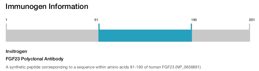 FGF23 Polyclonal Antibody
