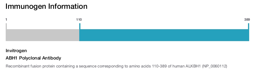 ABH1 Polyclonal Antibody