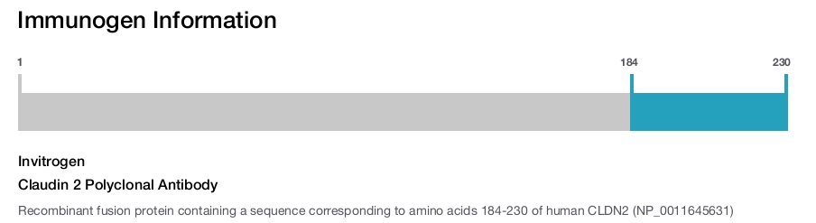 Claudin 2 Polyclonal Antibody
