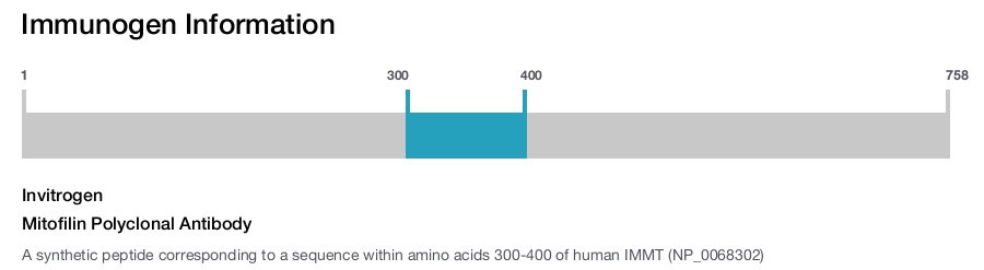 Mitofilin Polyclonal Antibody