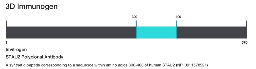 STAU2 Polyclonal Antibody