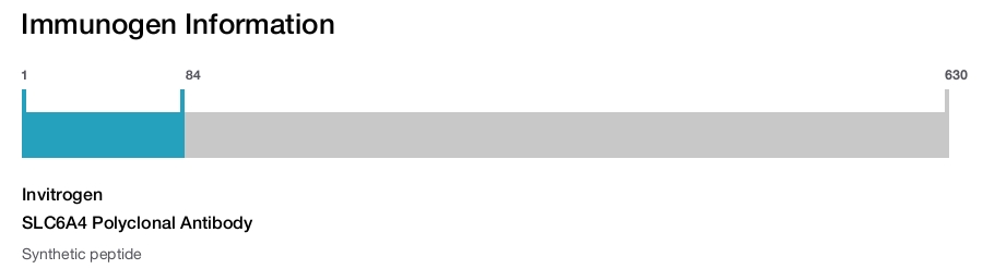 SLC6A4 Polyclonal Antibody