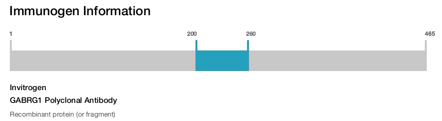 GABRG1 Polyclonal Antibody
