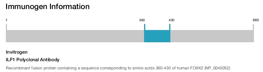 ILF1 Polyclonal Antibody