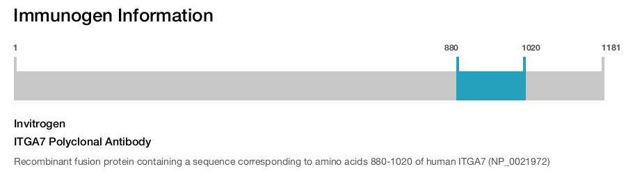 ITGA7 Polyclonal Antibody