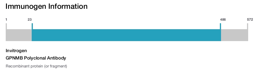 GPNMB Polyclonal Antibody