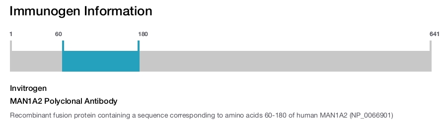 MAN1A2 Polyclonal Antibody