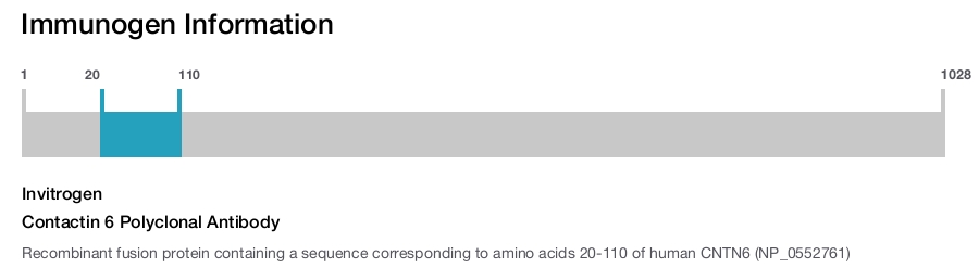 Contactin 6 Polyclonal Antibody