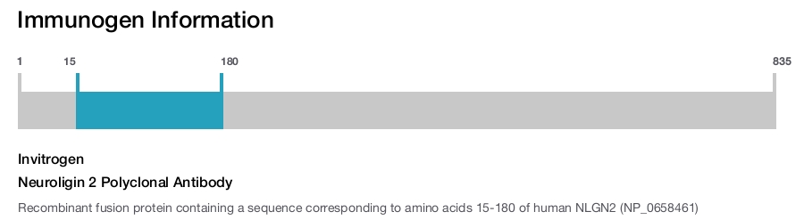 Neuroligin 2 Polyclonal Antibody