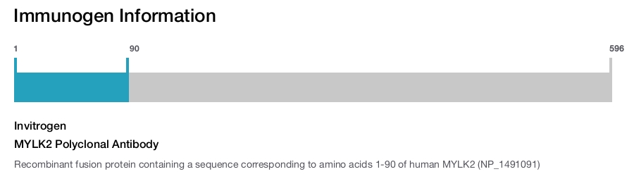 MYLK2 Polyclonal Antibody