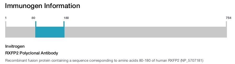 RXFP2 Polyclonal Antibody