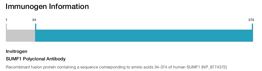 SUMF1 Polyclonal Antibody