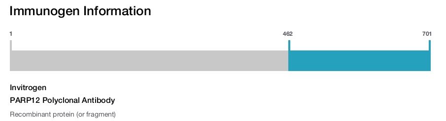 PARP12 Polyclonal Antibody