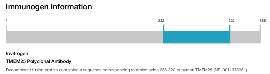 TMEM25 Polyclonal Antibody