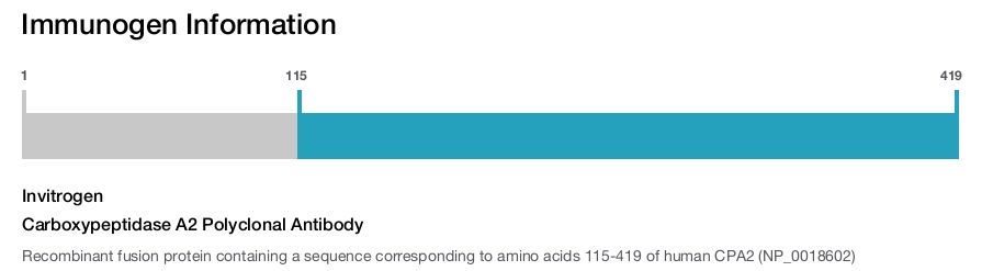 Carboxypeptidase A2 Polyclonal Antibody