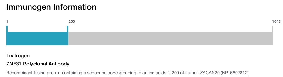 ZNF31 Polyclonal Antibody