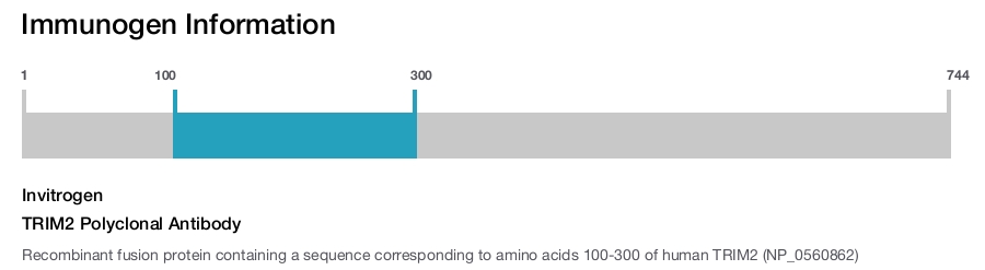TRIM2 Polyclonal Antibody