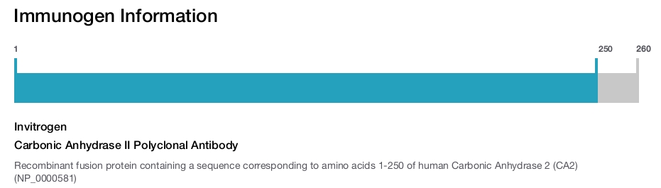 Carbonic Anhydrase II Polyclonal Antibody