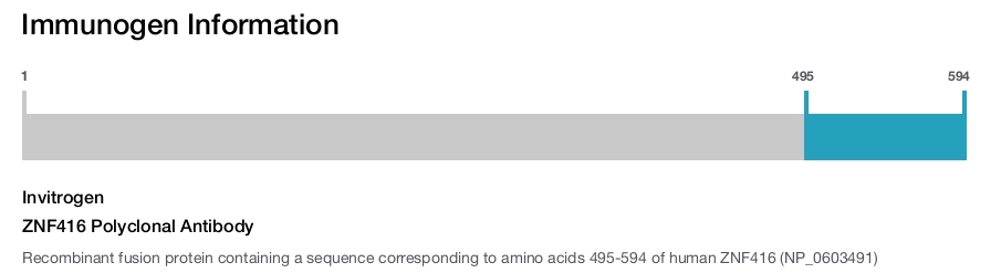 ZNF416 Polyclonal Antibody