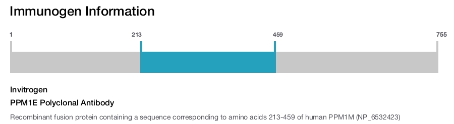 PPM1E Polyclonal Antibody
