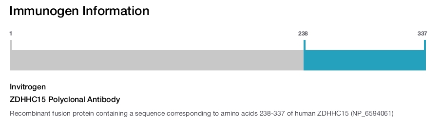ZDHHC15 Polyclonal Antibody