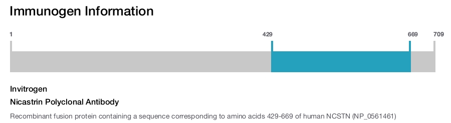 Nicastrin Polyclonal Antibody