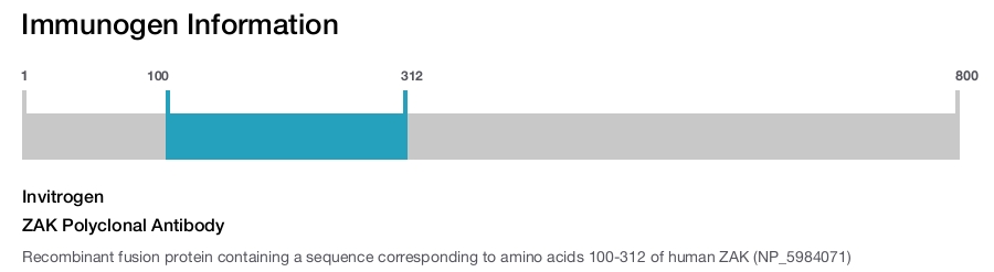 ZAK Polyclonal Antibody