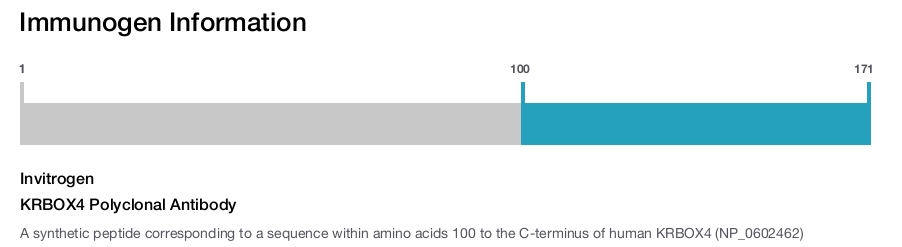 KRBOX4 Polyclonal Antibody