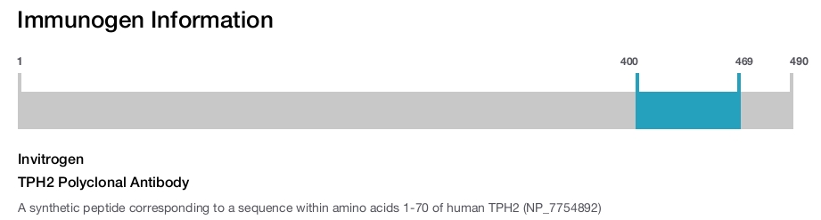 TPH2 Polyclonal Antibody