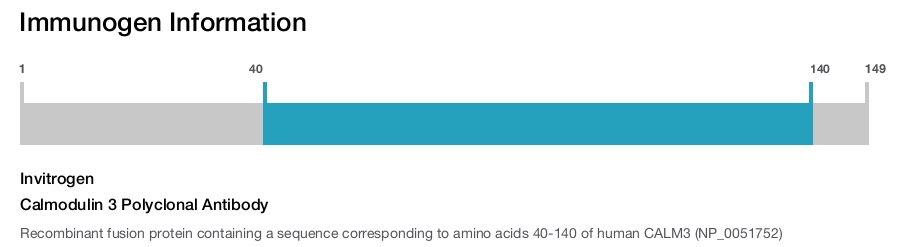 Calmodulin 3 Polyclonal Antibody