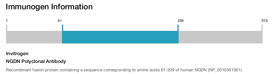 NGDN Polyclonal Antibody