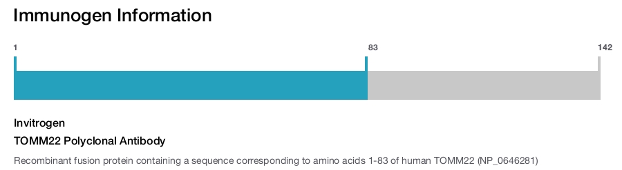 TOMM22 Polyclonal Antibody