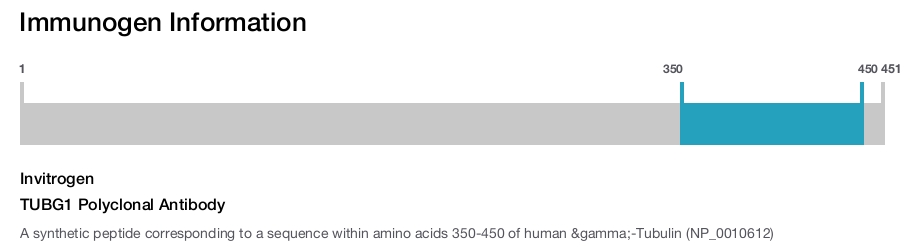 TUBG1 Polyclonal Antibody
