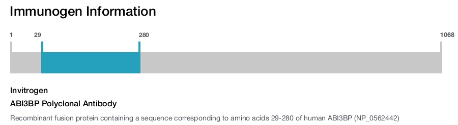ABI3BP Polyclonal Antibody