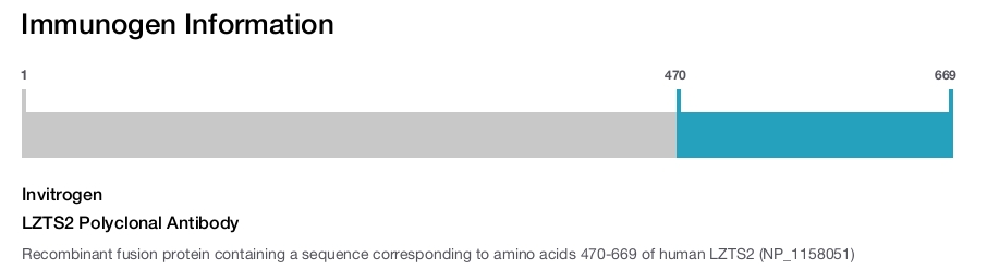 LZTS2 Polyclonal Antibody