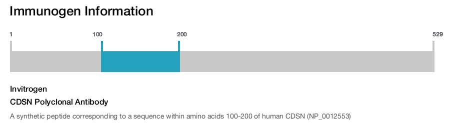 CDSN Polyclonal Antibody