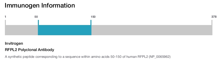 RFPL2 Polyclonal Antibody