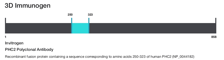 PHC2 Polyclonal Antibody