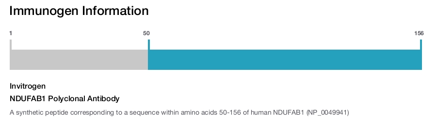 NDUFAB1 Polyclonal Antibody