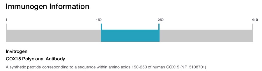 COX15 Polyclonal Antibody