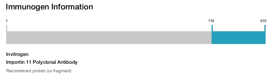 Importin 11 Polyclonal Antibody