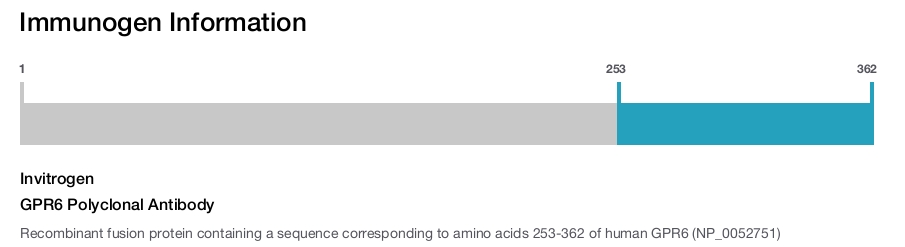 GPR6 Polyclonal Antibody