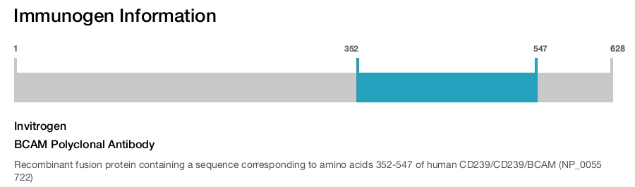 BCAM Polyclonal Antibody