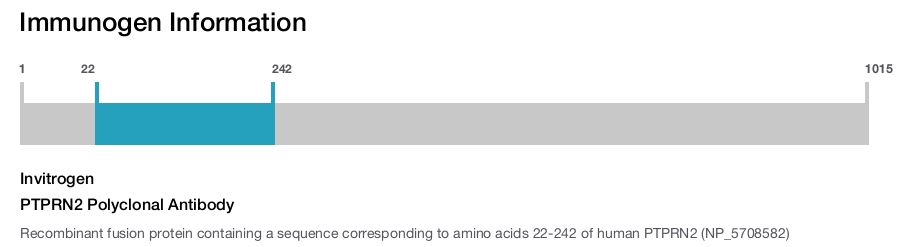 PTPRN2 Polyclonal Antibody