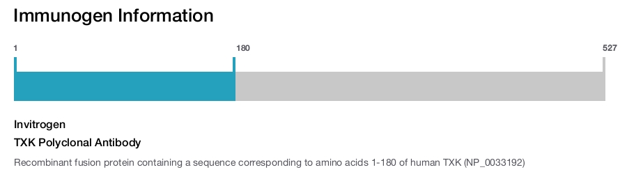 TXK Polyclonal Antibody