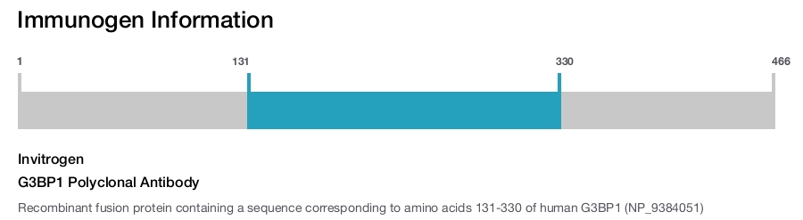 G3BP1 Polyclonal Antibody