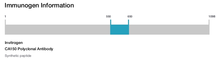 CA150 Polyclonal Antibody
