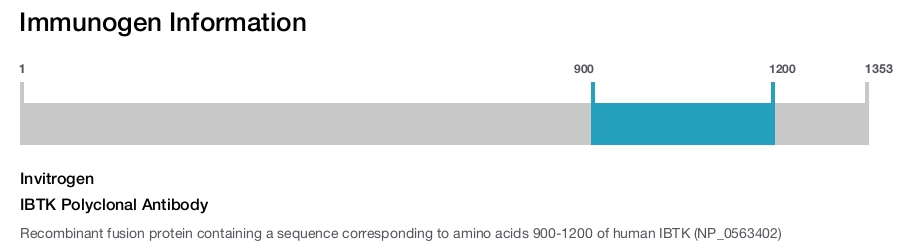 IBTK Polyclonal Antibody
