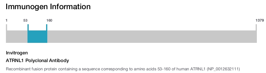 ATRNL1 Polyclonal Antibody