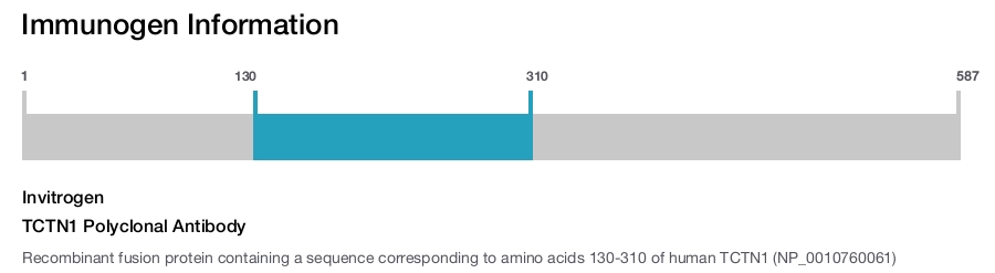 TCTN1 Polyclonal Antibody